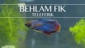 Teleferik 'Behlam Fik' Music Video