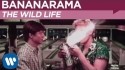 Bananarama 'The Wild Life' Music Video