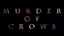 The Bloody Jug Band 'Murder of Crows' music video