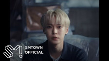 DOYOUNG KIM '늦은 말 (Promise)' music video
