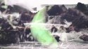 Meg 'Estate (Futuro Remix)' Music Video