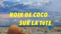 Sunny Duval 'Noix de Coco sur la Tête' Music Video