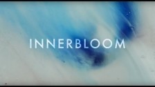 RÜFÜS 'Innerbloom' music video