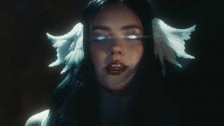 Delaney Bailey 'Lion' music video