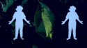 John Moods 'Meet Me In My Dreams' Music Video
