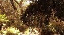 Holy Golden 'Witch Costume Fits Best' Music Video