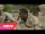 Sean Kingston 'Seasonal Love' music video