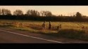 Blue Rodeo 'Mattawa / New Morning Sun' Music Video