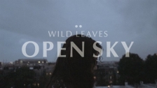 Wild Leaves 'Open Sky' music video