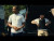 Belly Gang Kushington 'WTF GOIN' music video