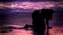 Rachel Lynn Sebastian 'El Danzón' Music Video