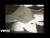 Dexter and The Moonrocks 'If You Could Talk' music video