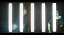 ADULT. 'We Are a Mirror' Music Video