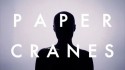 Tiger and Man 'Paper Cranes' Music Video