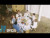 NEXZ 'Slo-mo' music video