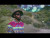 Theophilus London 'Flying Overseas' music video