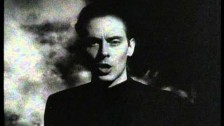 Peter Murphy 'All Night Long' music video