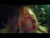 Phoebe Bridgers 'I Can't Wait' music video