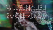 Nguzunguzu 'Smoke Alarm' music video