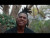 Tris 'Carnival Come Again' music video