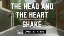 The Head And The Heart 'Shake' music video
