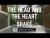 The Head And The Heart 'Shake' music video