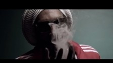 Snoop Dogg 'Smoke The Weed' music video