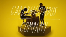 Caddywhompus 'Company' music video