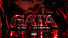 Luis Caracter 'Gata' music video