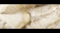 Tamaryn 'Sugarfix (Teengirl Fantasy Mix)' Music Video