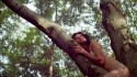 TV On The Radio 'Million Miles' Music Video