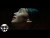 NewJeans 'Cool With You' music video