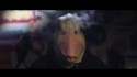 Doomtree 'Gray Duck' Music Video