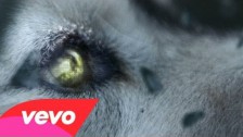 David Guetta 'She Wolf (Falling to Pieces)' music video