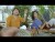 Kailash Kher 'Rangeele' music video