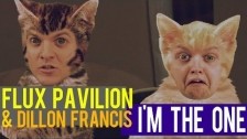 Flux Pavilion 'I'm The One' music video