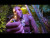 Terron Da Artist 'Fete, Woman and Alcohol' music video