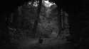 Small Dream Ada 'I Shut My Eyes' Music Video