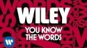 Wiley 'You Know The Words' Music Video