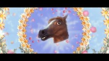 Professor Elemental 'This Is My Horse (Show Me Yours)' music video