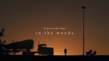 El Perro Del Mar 'In The Woods' music video
