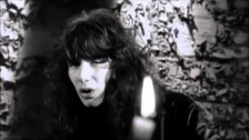 Mr. Big 'Just Take My Heart' music video
