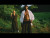 Freddie Gibbs & The Alchemist 'A Thousand Mountains' music video