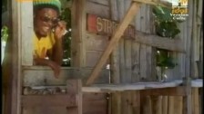 Jimmy Cliff 'Reggae Night' music video