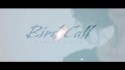 Bird Call 'Tao Of Love' Music Video