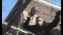 Naughty By Nature 'Chain Remains' Music Video