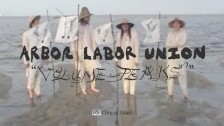 Arbor Labor Union 'Volume Peaks' music video