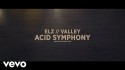 ELZ 'Acid Symphony' Music Video