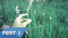 Andhy Rama 'Come To Juge Part 1' music video