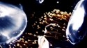 Laetitia Sadier 'Release from the Centre of Your Heart' Music Video